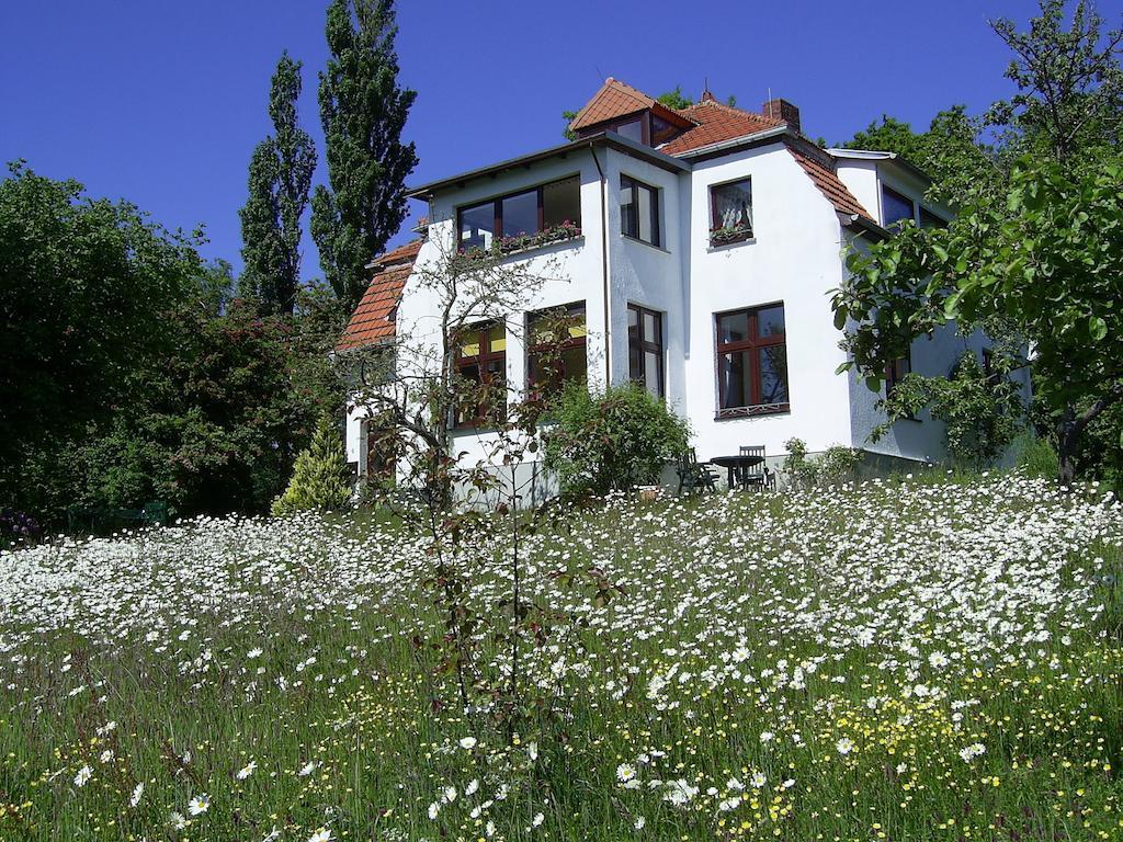 Ferienwohnungen Meerblick Herde Goehren  Oda fotoğraf